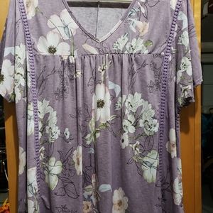 Baby Doll Shirt Sleeve V-neck top